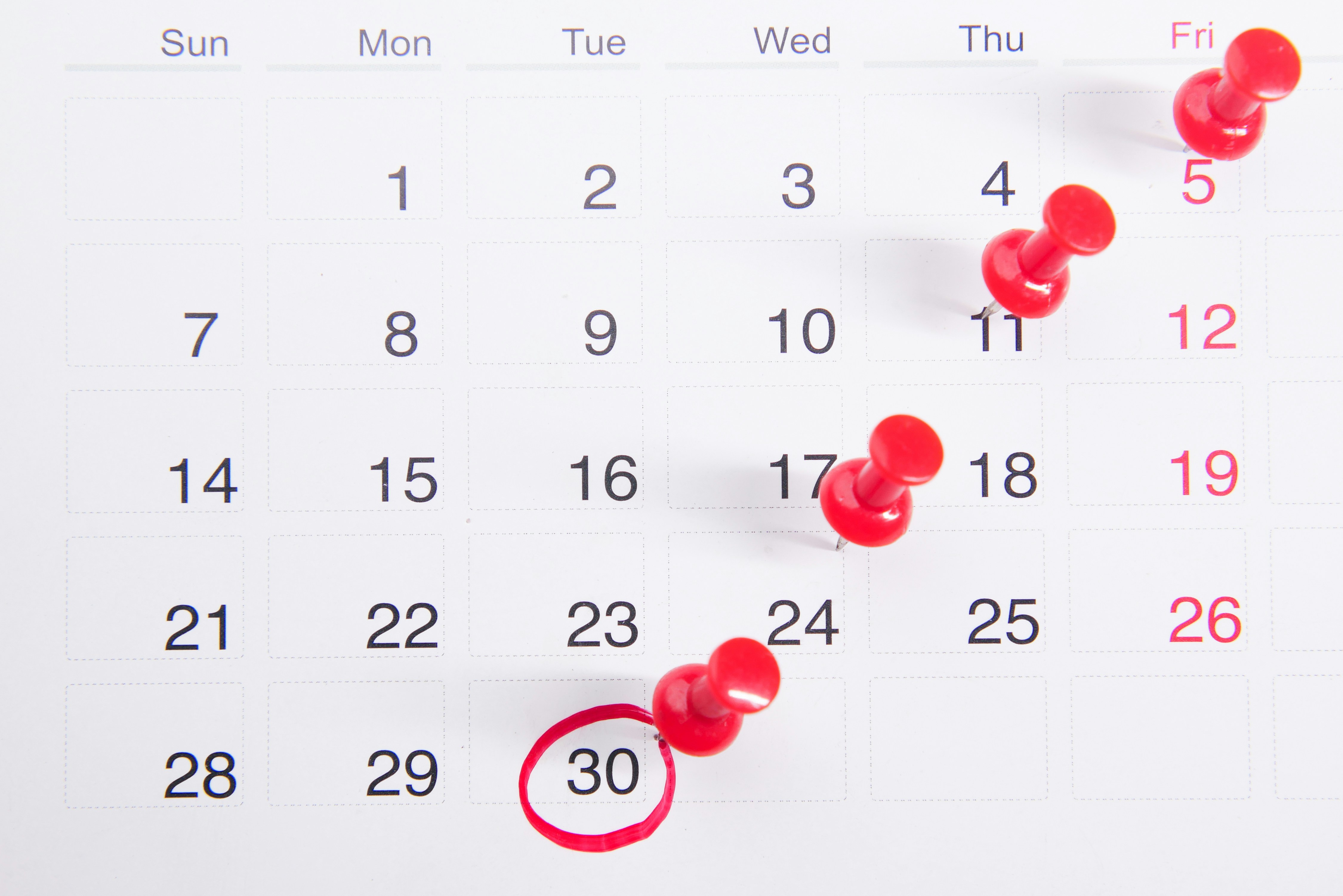 Calendario del laboratorio